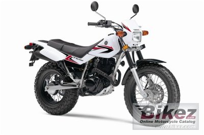 2010 Yamaha TW200 photo
